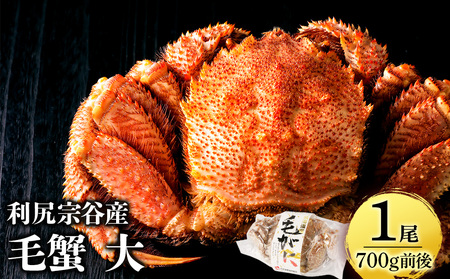 利尻島産 毛ガニ 大サイズ （700g前後）1尾＜利尻漁業協同組合＞