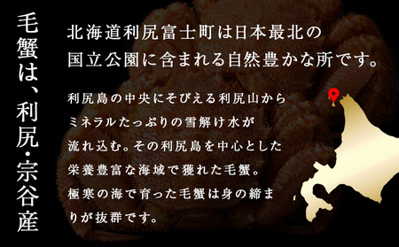 利尻島産 毛ガニ 大サイズ （700g前後）1尾＜利尻漁業協同組合＞