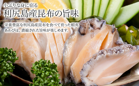 利尻島産 天然蝦夷あわび １ｋｇ＜中＞（80g～100gサイズ）＜利尻漁業協同組合＞ 北海道ふるさと納税鮑 天然 冷凍 産地直送 刺身 高級海鮮