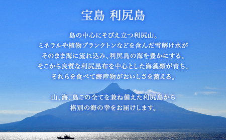 利尻島産 天然蝦夷あわび １ｋｇ＜中＞（80g～100gサイズ）＜利尻漁業協同組合＞ 北海道ふるさと納税鮑 天然 冷凍 産地直送 刺身 高級海鮮