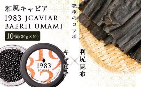 【和風キャビア】1983 JCAVIAR BAERII UMAMI 10個(20g×10)
