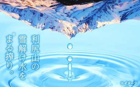 【定期便】天然ケイ素水リシリア(500ml×48本入)×6ヶ月【定期便・頒布会】