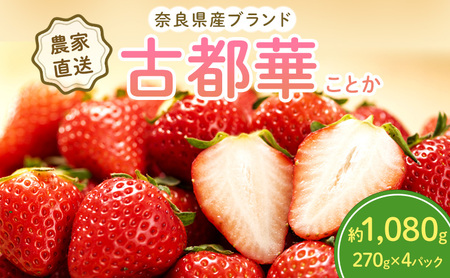 いちご 奈良県産 古都華 約1080g 270g×4パック 高評価 冷蔵配送 フルーツ 果物 旬 産地直送 農家直送 完熟 旬の果物 お取り寄せ おやつ デザート ことか イチゴ 冷蔵 奈良 大和郡山市 BN001
