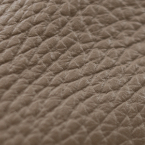 【ピエールリッチ】ファスナー付き 軽量 ソフト レザースニーカー グレージュ PR821（婦人靴） BN003 24.5cm