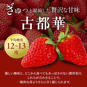 定期便 2回今西さん家の奈良いちご いちご 古都華 (270g×6パック ) BN001