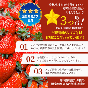 -40度で急速冷凍！ 冷凍いちご 1kg ( 古都華 ) BN001