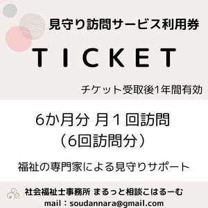 【親孝行は、ふるさと納税で】　ふるさとへ贈る安心　社会福祉士による見守り訪問サービスチケット　見守り 訪問 サービス 6か月分 月1回 報告 安心 福祉 支援 サポート 代行 親孝行　社会福祉士 0005