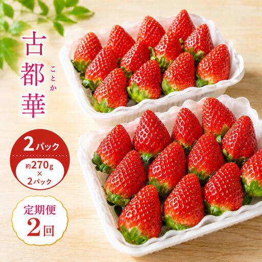 【2回定期】いちご 古都華 約270g ×2パック フルーツ 果物 旬 産地直送 旬のフルーツ 旬の果物 お取り寄せ おやつ デザート 希少 ことか 苺 冷蔵 冷蔵配送 奈良 奈良県 BN001