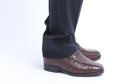 オーストリッチ革 ビジネスシューズ 革靴 本革 紳士靴 スワローモカ 4E ワイド No.1267 ブラウン 25.5cm