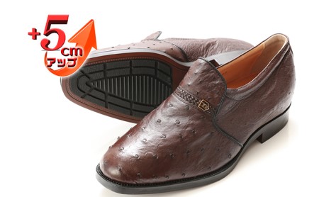 オーストリッチ革 ビジネスシューズ 紳士靴 スリッポン 5cmアップ 4E ワイド No.65 ブラウン 25.5cm