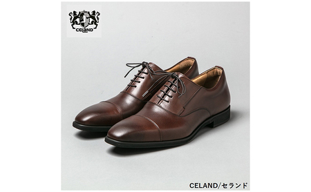 CELAND 牛革ラクチン軽量ビジネスシューズ 紐タイプ 紳士靴 (ストレートチップ）ダークブラウン CE1201 25.5cm