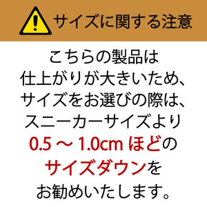 RERiSE TRIGGER RE-3001 本革ビジネスシューズ ストレートチップ DARK BROWN ファッション 男性 メンズ 靴 上質なレザー 日本製 上品な光沢 幅広 3E 高級感 スタイリッシュ ゆったり  BN002 27cm（ダークブラウン）