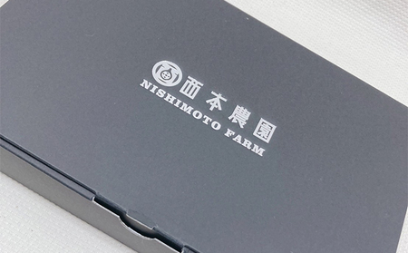 自家栽培いちじくのドライフルーツ～ドーフィン～ 加工食品 乾燥いちじく 乾燥フルーツ いちじくの甘み 風味 おやつ 間食 