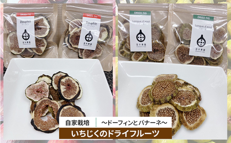 自家栽培いちじくのドライフルーツ～ドーフィンとバナーネの2種セット～ 加工食品 乾燥いちじく 乾燥フルーツ おやつ 間食 白いちじく 食べ比べセット 