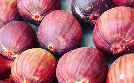 自家栽培いちじくのドライフルーツ～ドーフィンとバナーネの2種セット～ 加工食品 乾燥いちじく 乾燥フルーツ おやつ 間食 白いちじく 食べ比べセット 