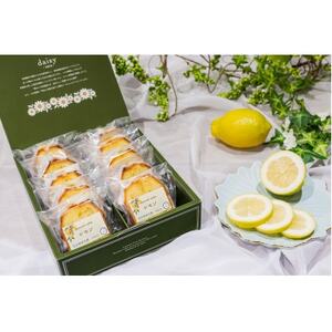 レモンケーキ　10個入り_菓子・スイーツ ケーキ  _【配送不可地域：離島】【1522085】