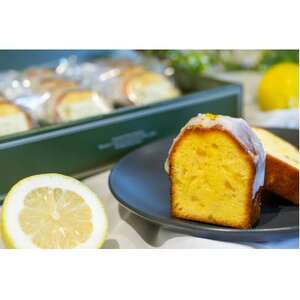 レモンケーキ　10個入り_菓子・スイーツ ケーキ  _【配送不可地域：離島】【1522085】
