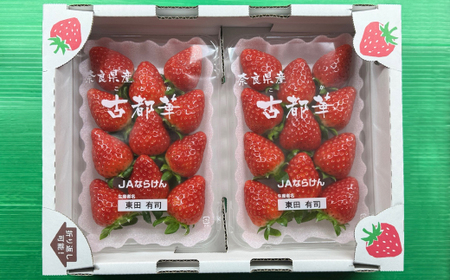 【2025年12月下旬順次発送】奈良県産いちご「古都華」2パック_果物・フルーツ いちご  イチゴ 苺_【配送不可地域：離島】【1556700】