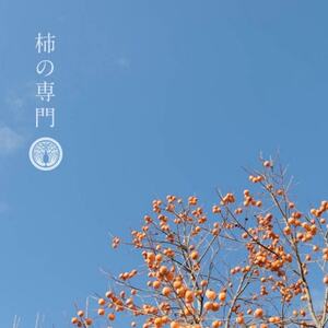 【奈良県天理市】有機JAS認証  国産　柿の葉茶　350ml×24本【1647292】