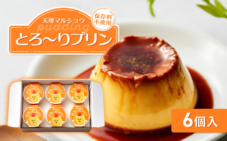 天理マルショウ とろ～りプリン　6個入【配送不可地域：離島】【1678705】