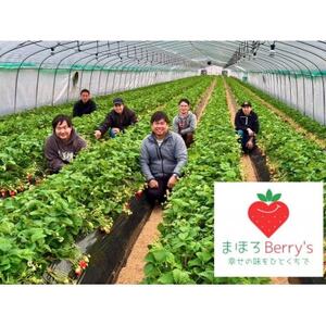 奈良県産いちごの食べ比べセット【配送不可地域：離島・北海道・沖縄県・東北】【1609082】