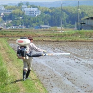 R5年10月中旬以降発送】ひのひかり玄米30kg【令和5年産】(一等米