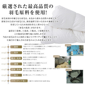 抜群のあたたかさ　上質羽毛掛け布団ダウンパワー400(WDD93%1.2kg)　シングル(オフ白)_雑貨・日用品 布団 寝具 _【1128337】