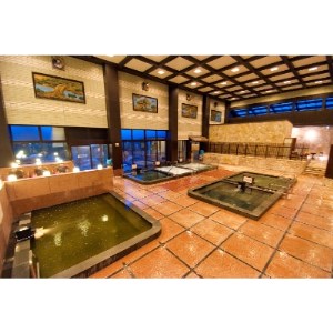 奈良健康ランド 入館回数券(5枚綴)_旅行券・チケット 温泉利用券 _【1147453】