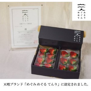 古都に咲く真っ赤な華いちご「古都華」(270g以上/5L～4Lサイズ/6～8粒)×2P　化粧箱入り【配送不可地域：離島】【1102951】