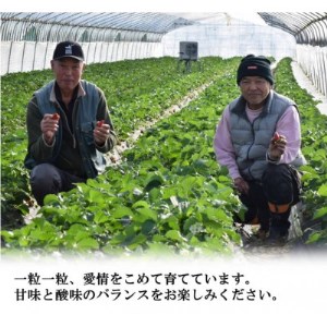 古都に咲く真っ赤な華いちご「古都華」(270g以上/3L~2Lサイズ/9~11粒)×2P 化粧箱入り_果物・フルーツ いちご イチゴ 苺_【配送不可地域:離島】【1102952】