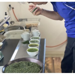 宇治玉露(ごこう)5本セット_飲料・ドリンク 茶葉・ティーバッグ 茶 _【1373294】