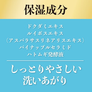 アレルジーナ　ボディソープセット（泡タイプ） ※着日指定不可