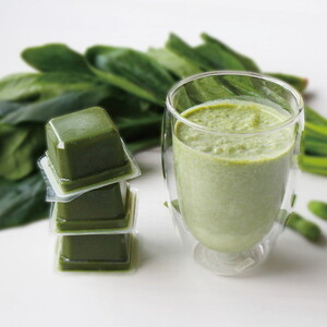 【冷凍便】美活キューブ【緑】9個入　野菜　乳酸菌