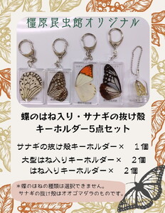 橿原市昆虫館オリジナル 蝶のはね入り・サナギの抜け殻キーホルダー5点セット