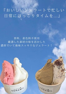 橿原 手作りジェラート12個セット ※離島への配送不可