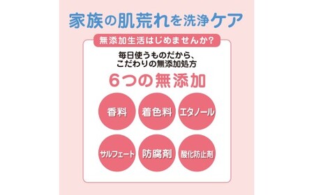 肌荒れを防ぐ薬用無添加 泡ボディソープ 詰替セット3個入 <無添加生活シリーズ> ※離島への配送不可