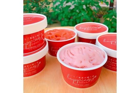 いちご農家の自家製SWEETS いちごと季節の野菜・フルーツのアイスクリーム 家庭用アソート 12個入