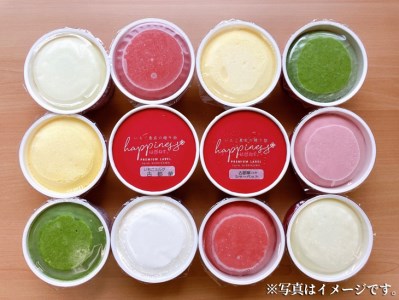 いちご農家の自家製SWEETS いちごと季節の野菜・フルーツのアイスクリーム 家庭用アソート 12個入