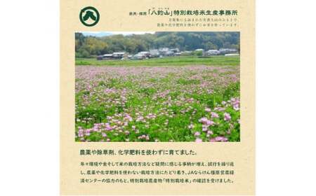 【新米】奈良・橿原 農薬や化学肥料不使用【令和7年産】ヒノヒカリ【七分搗き】約5kg(5kg×1袋)