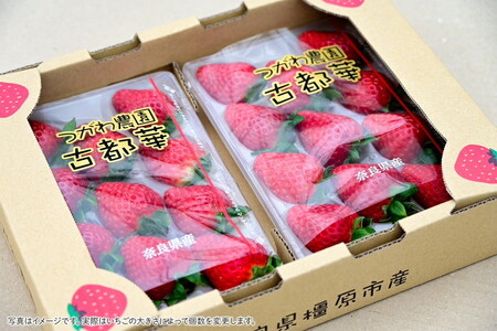 奈良県産高級ブランド 古都華 約270g×2パック ※2026年1月中旬頃より順次発送予定