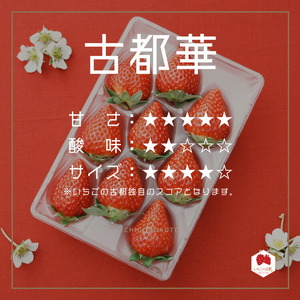 【先行予約・数量限定】【奈良県知事賞受賞】古都華（ことか）3Lサイズ（6粒入り）×2パック｜とのあさイチゴ農園 ※2026年1月中旬～5月上旬頃に順次発送予定