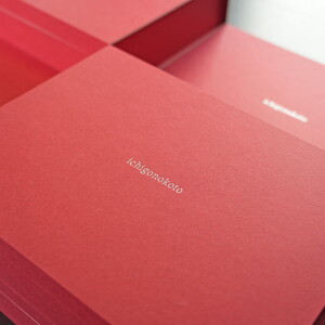 【先行予約・数量限定】【奈良県知事賞受賞】ギフトボックス入り古都華（ことか）Lサイズ×2パック｜とのあさイチゴ農園 ※2026年1月中旬～5月上旬頃に順次発送予定