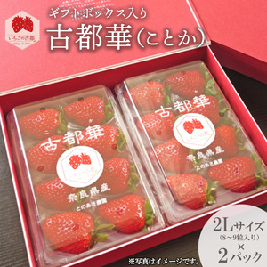 【先行予約・数量限定】【奈良県知事賞受賞】ギフトボックス入り古都華（ことか）2Lサイズ（8～9粒入り）×2パック｜とのあさイチゴ農園 ※2026年1月中旬～5月上旬頃に順次発送予定 7,200円