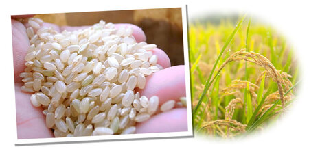 EA-6.【定期便】令和7年産 奈良県産ヒノヒカリ1等（玄米）10kg×3【7分づき】