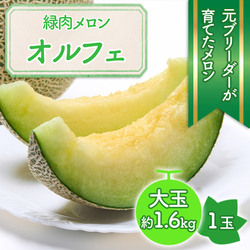 ※予約受付M-A41.【6月～7月頃発送】特大ネットメロン 1玉 緑肉種「オルフェ」