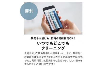 KB-6.【宅配クリーニングの定期便】クリーニング《詰め放題》２か月１回コース　１年分(６回利用)