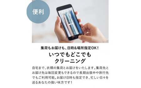 LIB-1.【宅配クリーニングの定期便】クリーニング《詰め放題》月１回コース　１年分(12回利用)