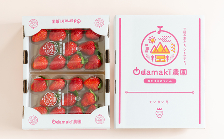 M-AI31.【3月～4月上旬発送】減農薬いちご「古都華」2パック 特別栽培農産物 ※配送地域限定