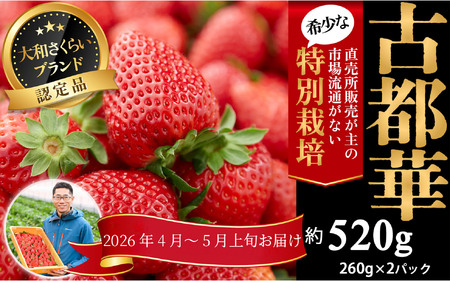 M-AG24.【4月～5月上旬発送】減農薬いちご「古都華」2パック 特別栽培農産物 ※配送地域限定