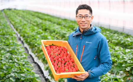 M-AH18.【4月～5月上旬発送】減農薬紅白いちご「古都華＆白いちご」2パック 特別栽培農産物 ※配送地域限定